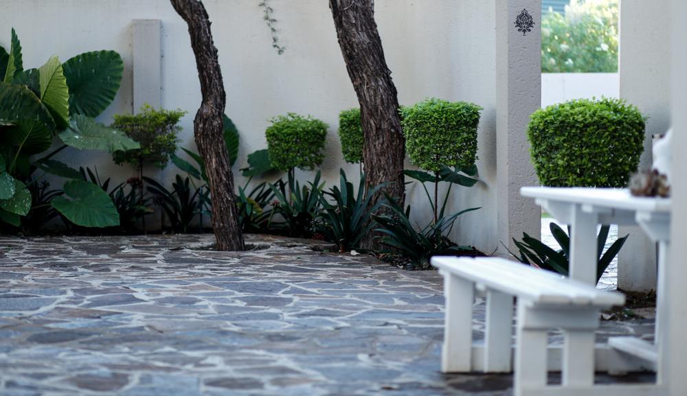 The Hedge Guesthouse Kuruman Dış mekan fotoğraf